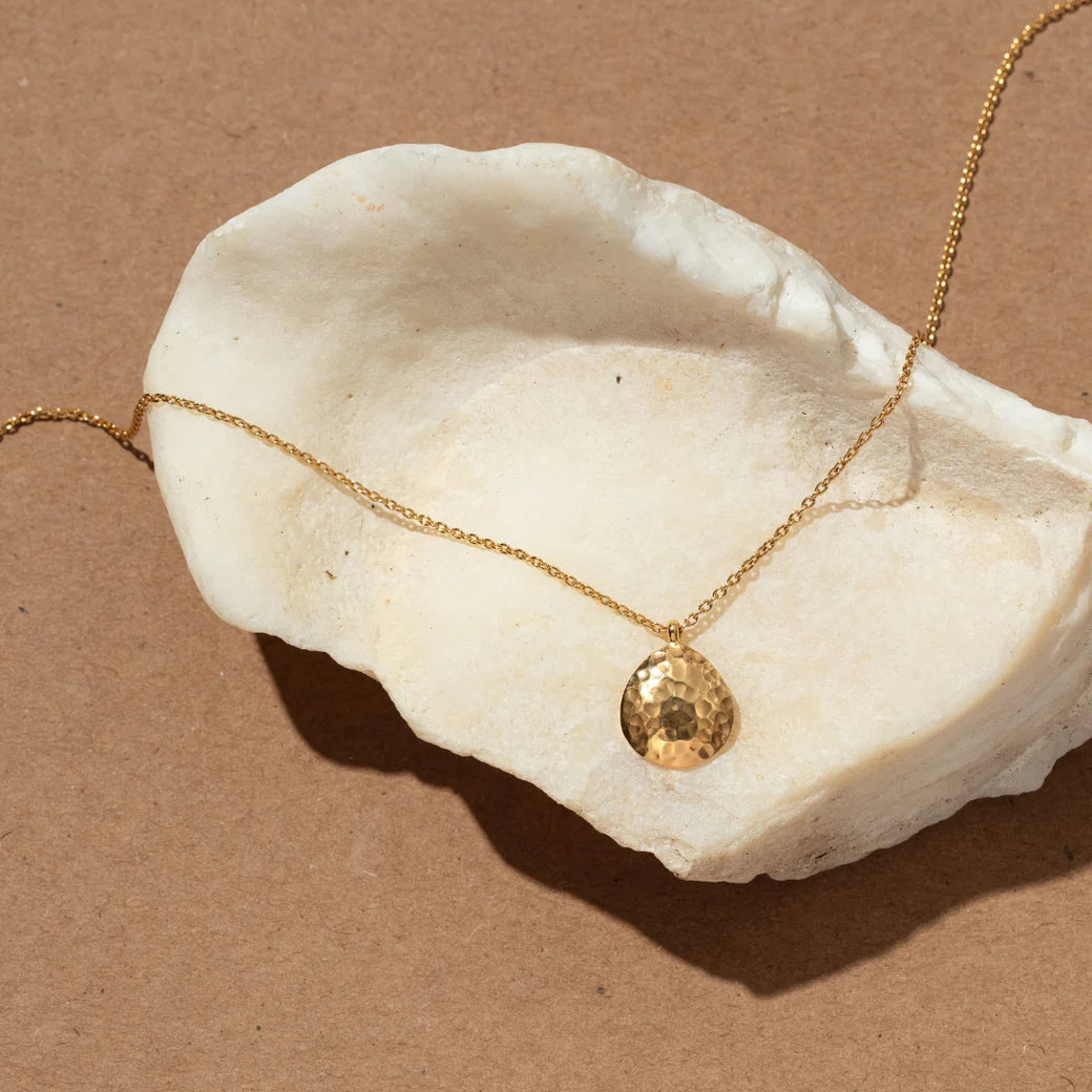 Collection Image