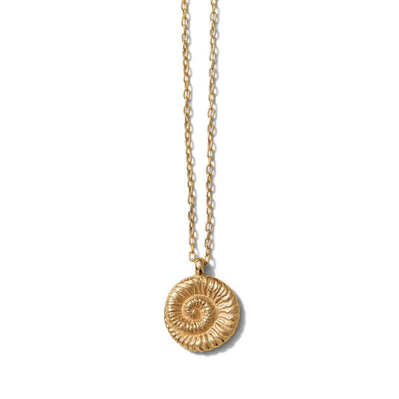 Ammonite Necklace, Gold