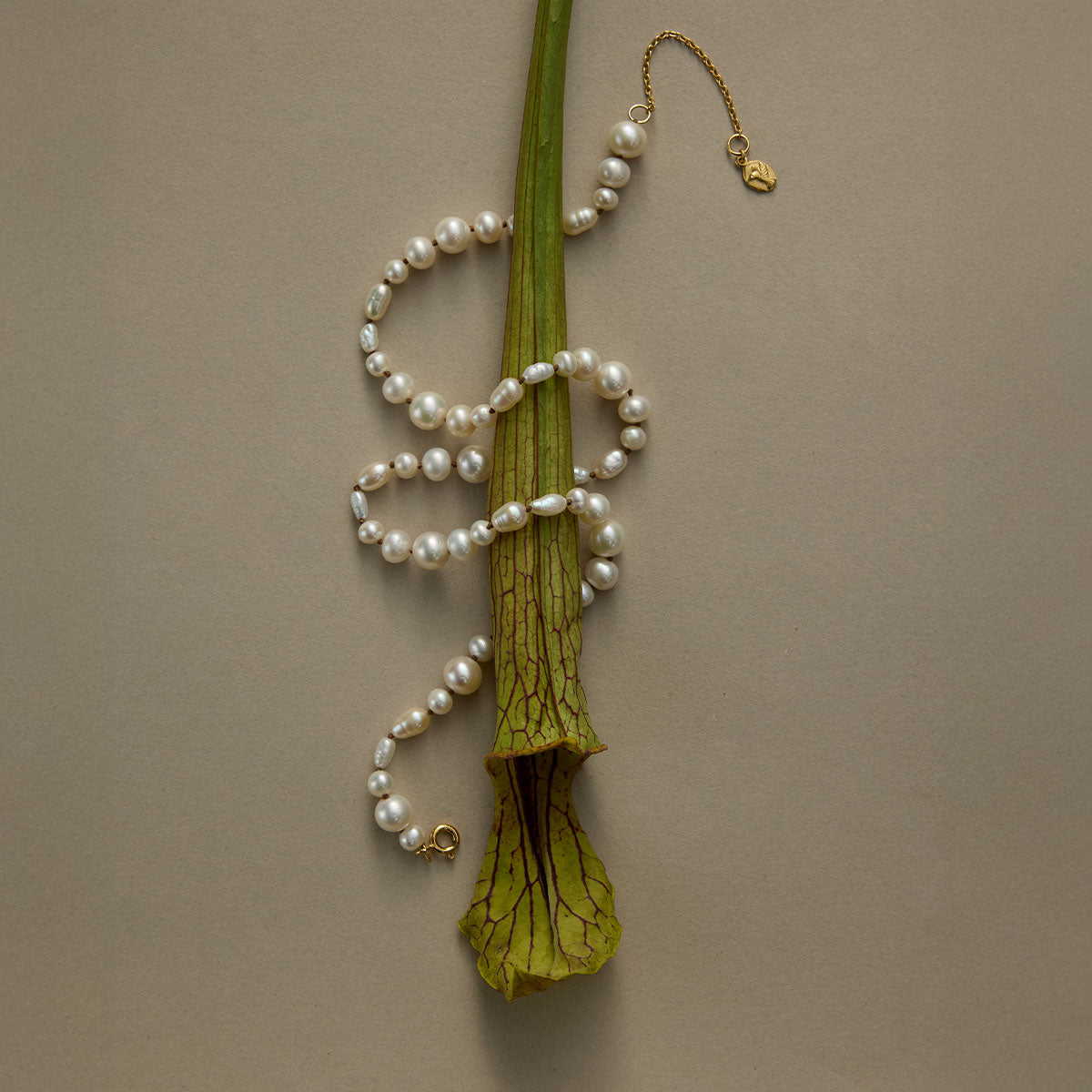 Lumina Necklace, Pearl, Gold