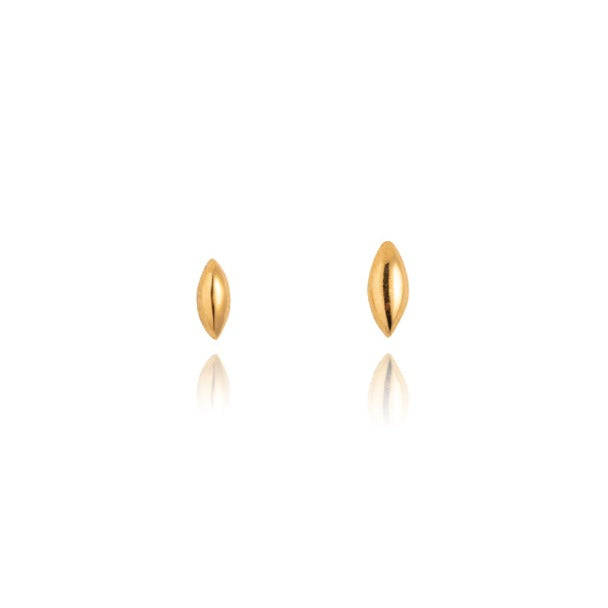 Seed Stud, 9kt Yellow Gold